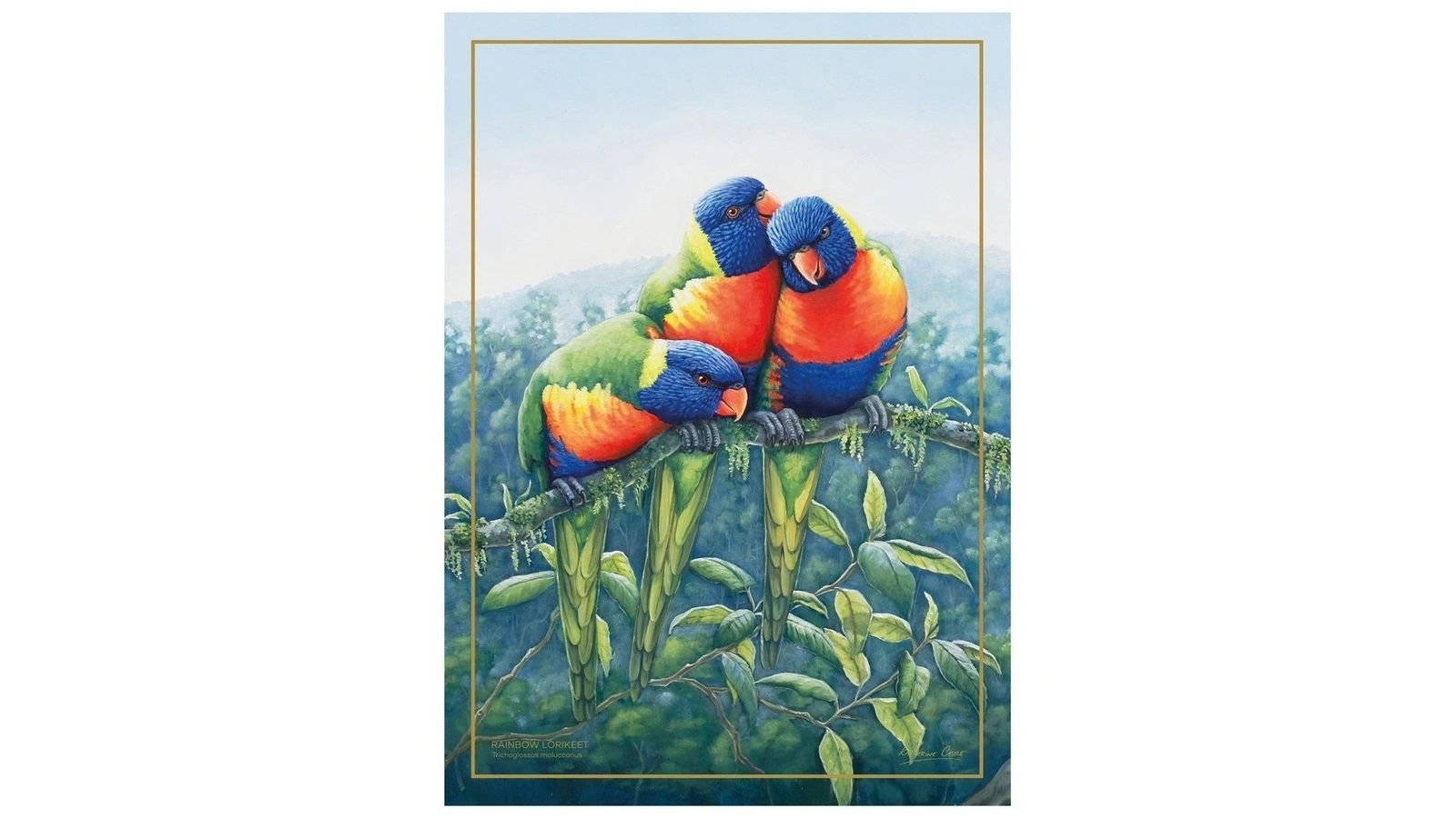 Maxwell and Williams 50 x 70cm Birds of Australia 10 Year Anniversary Tea Towel - Lorikeet