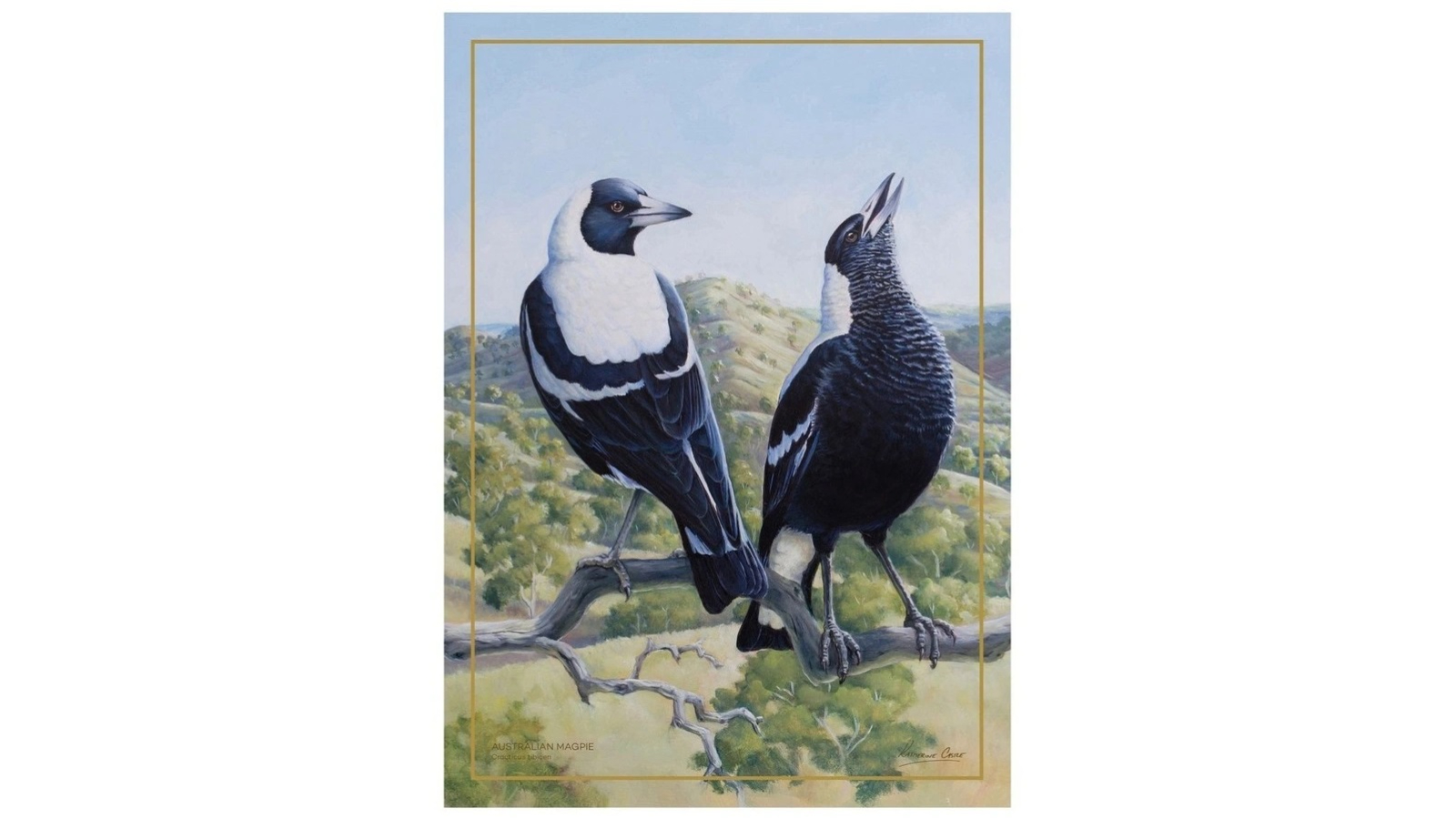 Maxwell and Williams 50 x 70cm Birds of Australia 10 Year Anniversary Tea Towel - Magpie