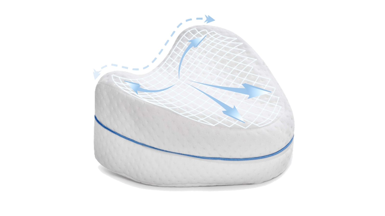 Bodyassist Comfort Leg Pillow and Large Hot/Cold Gel Pack