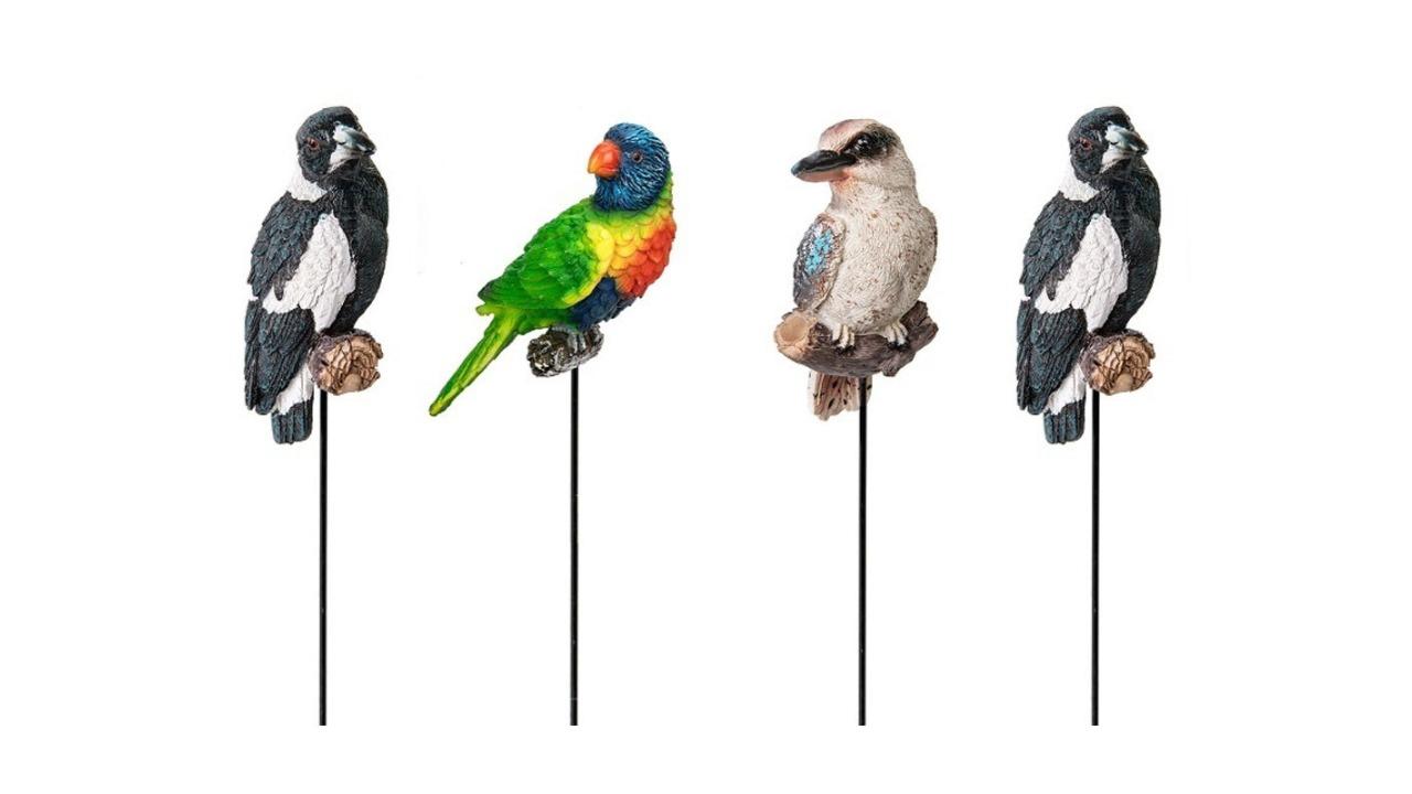 4 Piece Assorted Polyresin Aussie Bird on Stick Garden Decor | Harvey ...