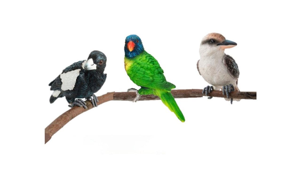 4 Piece Assorted Aussie Bird Pot Planter Garden Decor