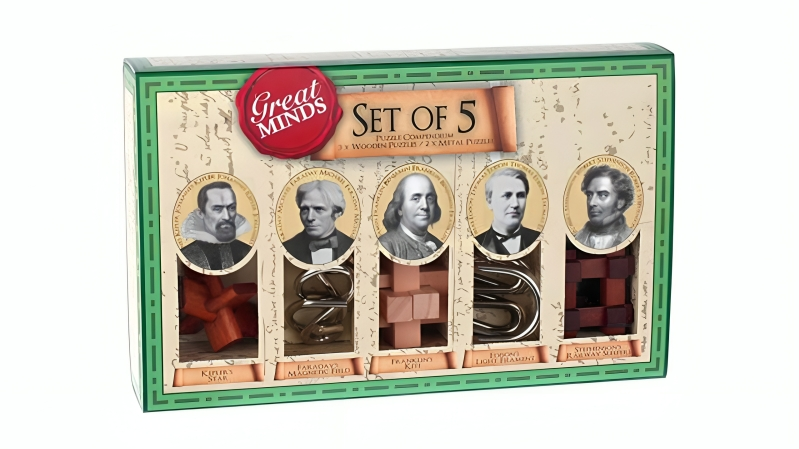 Professor Puzzle 5 Piece Great Minds Wood and Metal Brain Teaser - Men