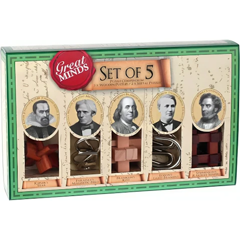 Professor Puzzle 5 Piece Great Minds Wood and Metal Brain Teaser - Men