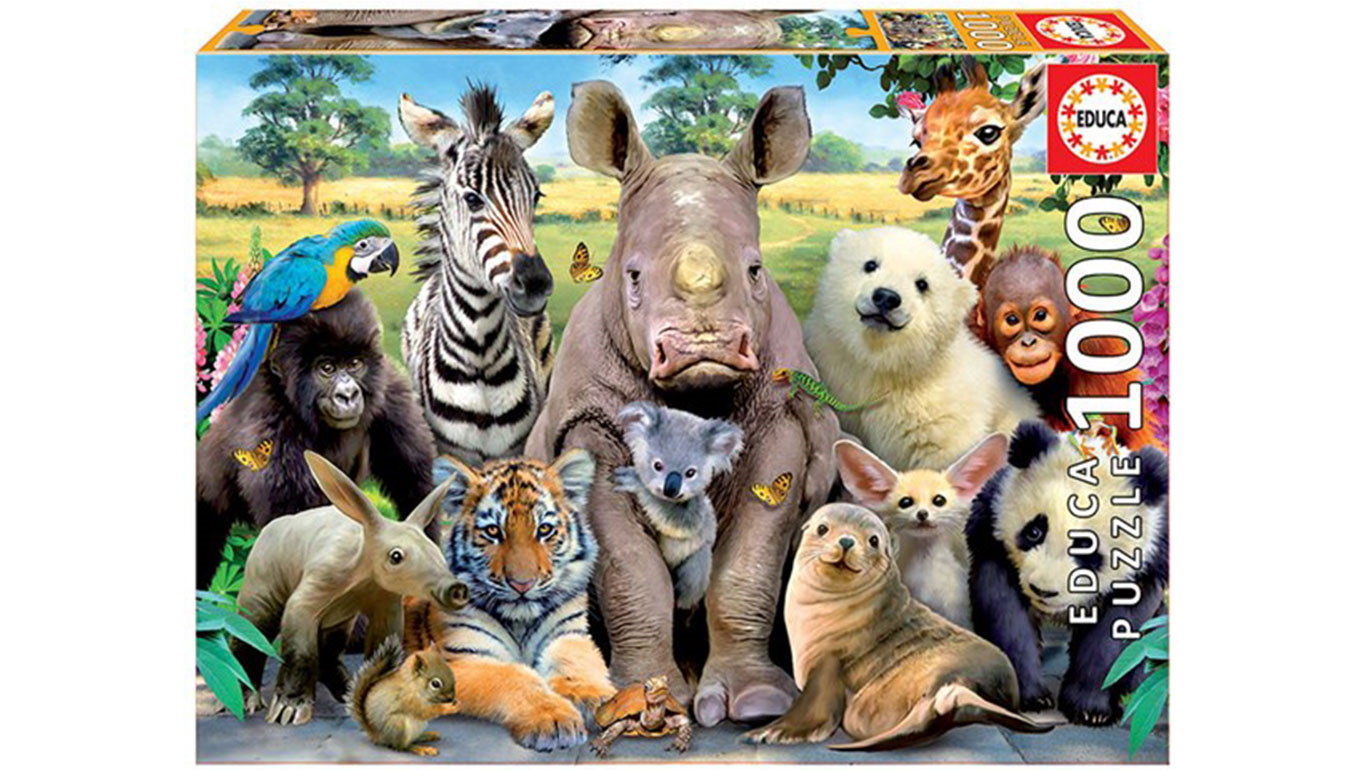 Educa Puzzle Collection A Class Photo 1000-Piece Puzzle