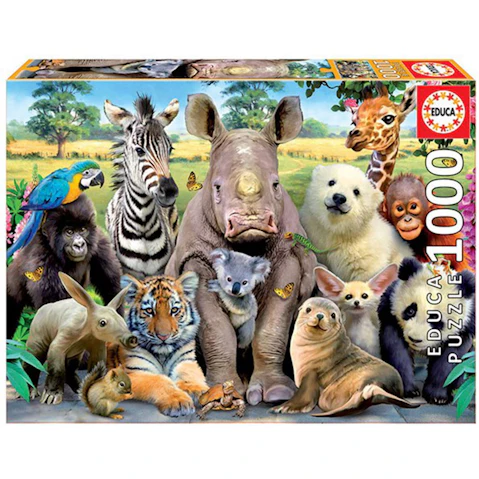 Educa Puzzle Collection A Class Photo 1000-Piece Puzzle