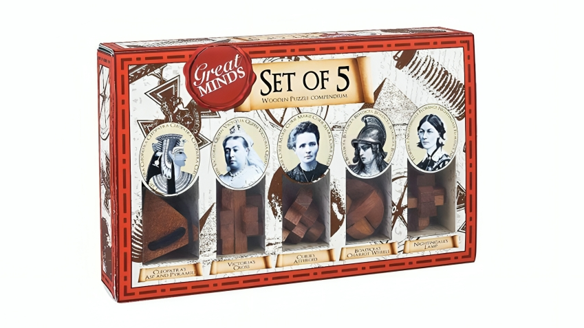 Professor Puzzle 5 Piece Great Minds Wood and Metal Brain Teaser - Women