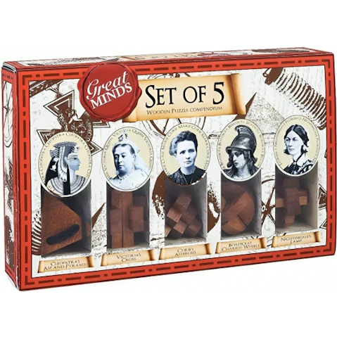 Professor Puzzle 5 Piece Great Minds Wood and Metal Brain Teaser - Women