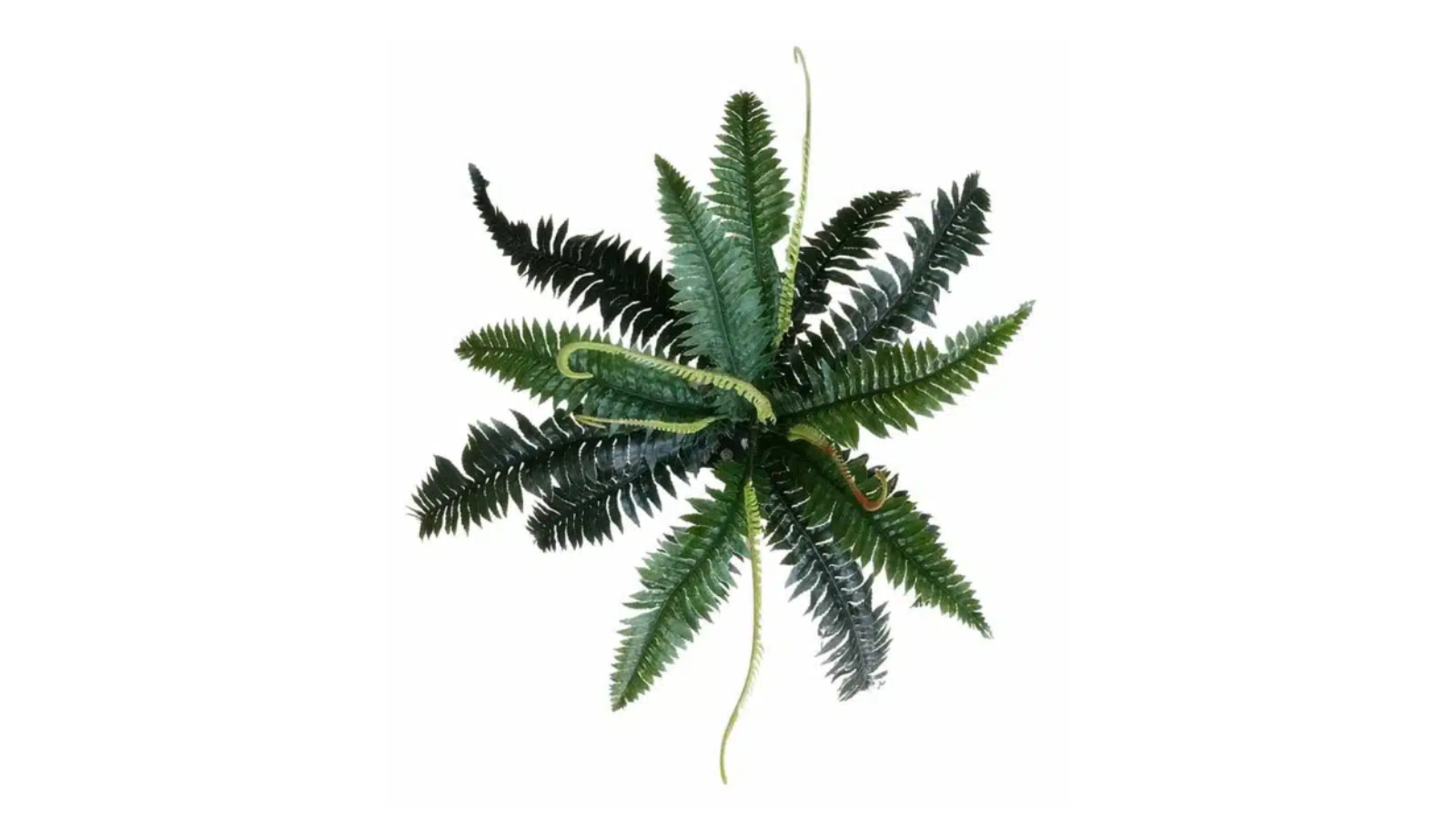 Designer Plants Artificial Boston Fern - Dark Green