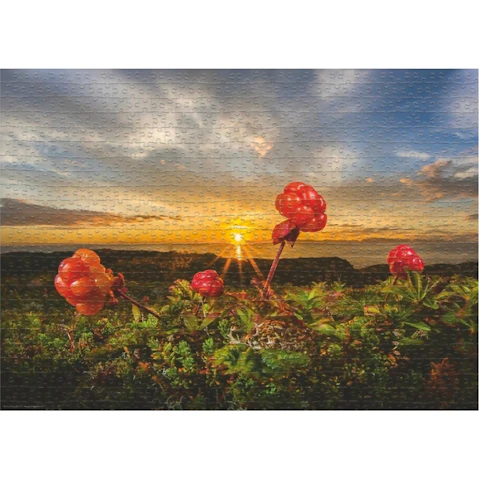 Heye 1000 Piece Von Humboldt Cloudberries Jigsaw Puzzle