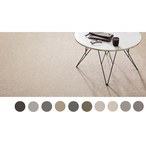 Stain Defence Lifestyle Regal Touch Carpet