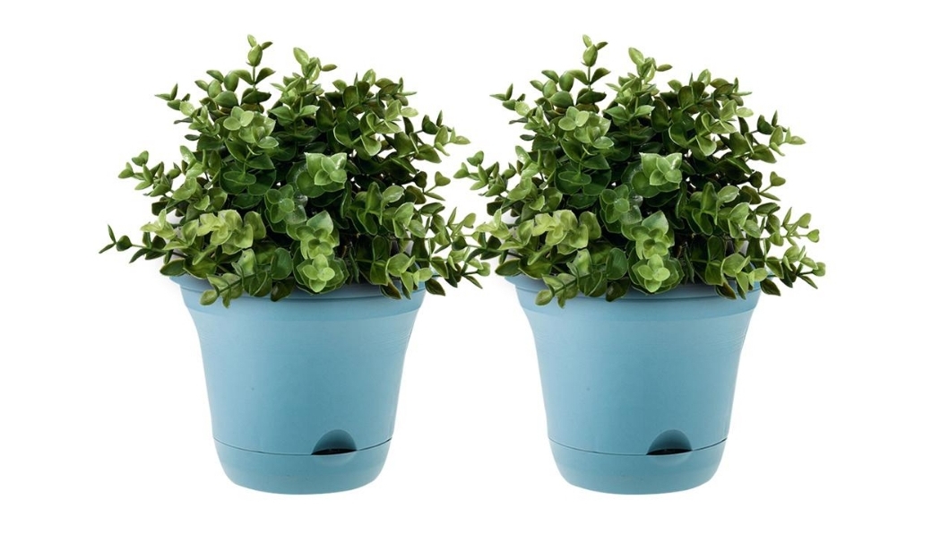 Soga Blue Self Watering Planter - Set of 2