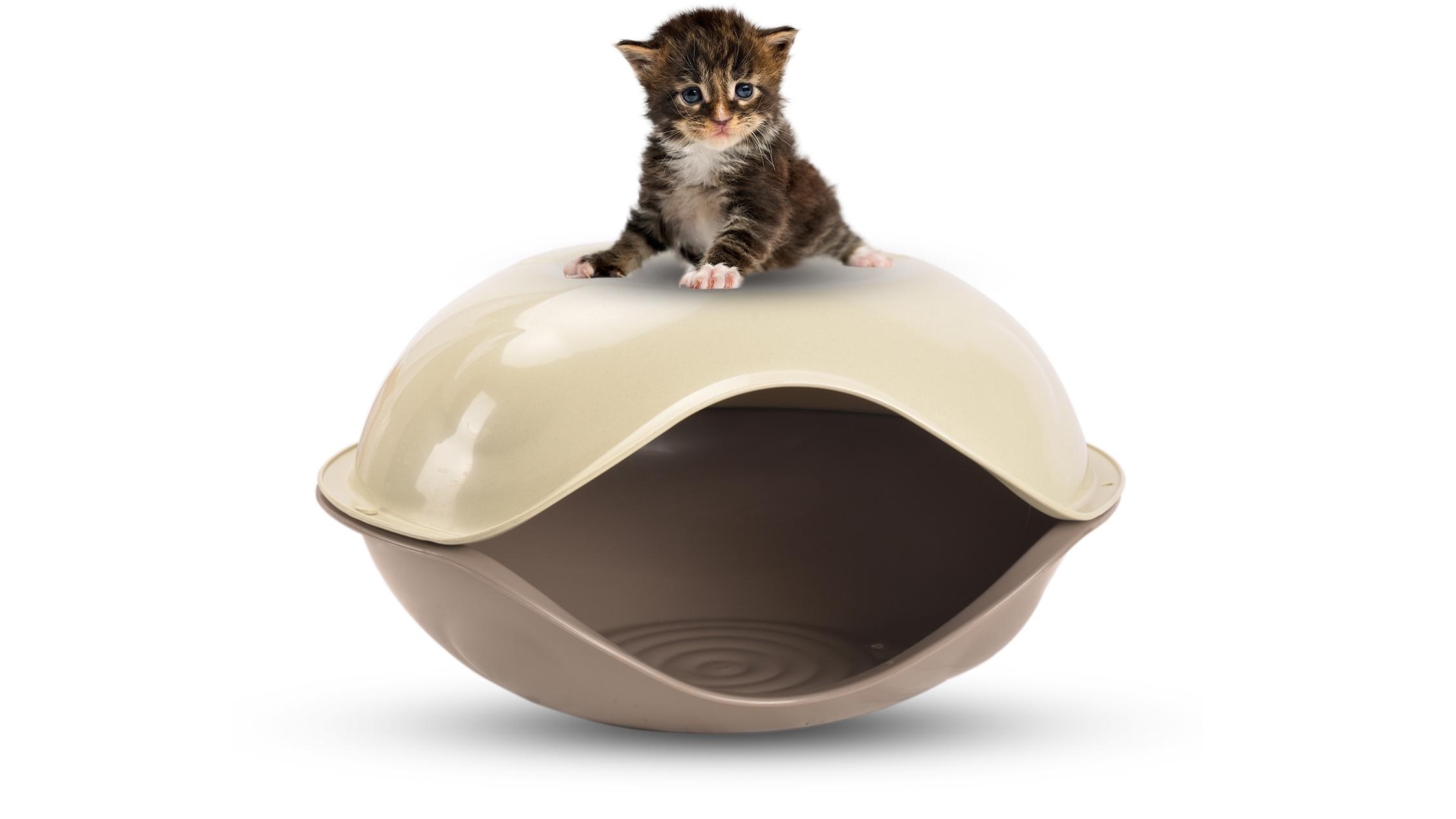 Topex Portable Pet Carrier