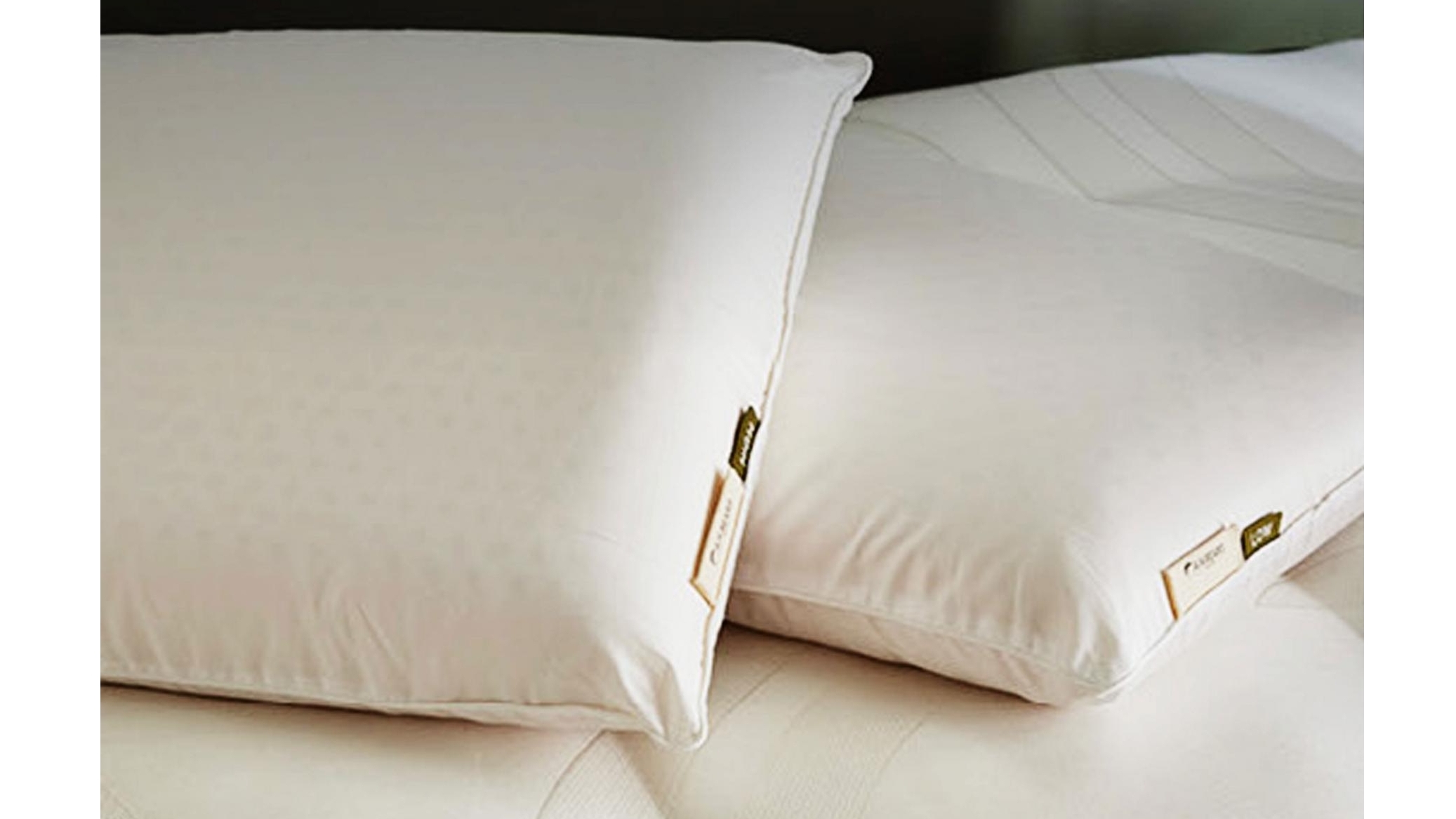 A.H Beard Organic Latex Low Pillow Harvey Norman