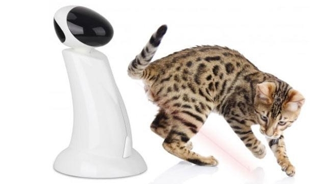 All For Paws Laser Beam Interactive Robot Pointer Cat Toy