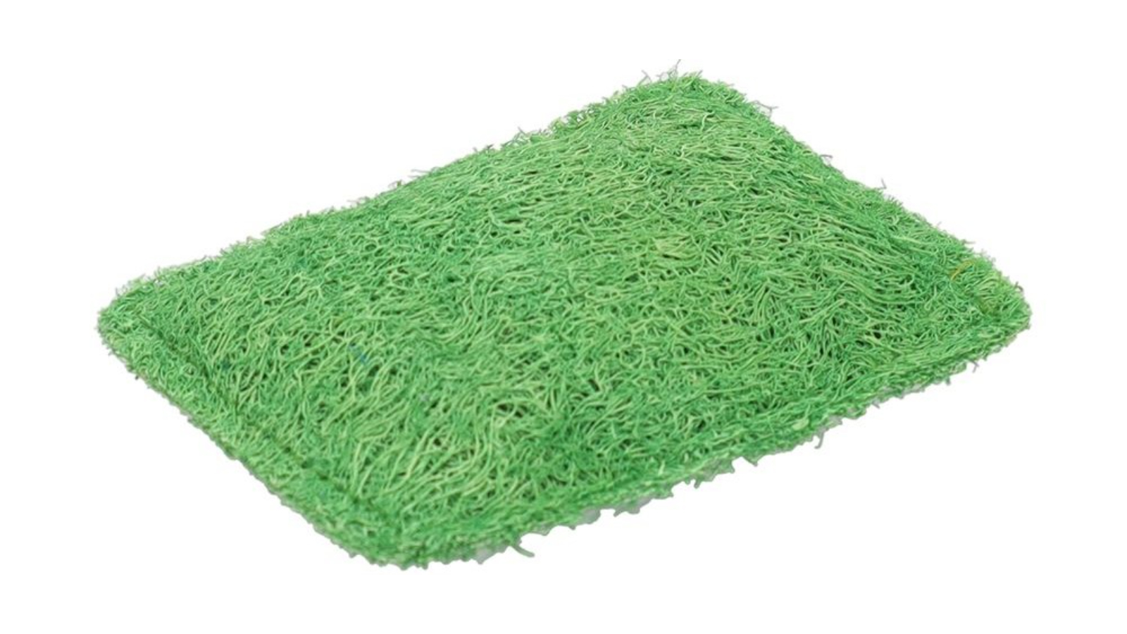 Eco Basics Natural Kitchen Scrubber - Forest