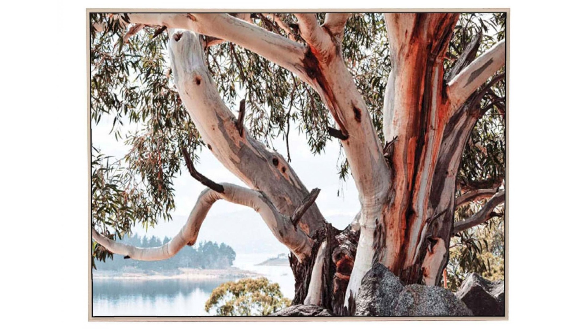 Wise Tree Wall Art