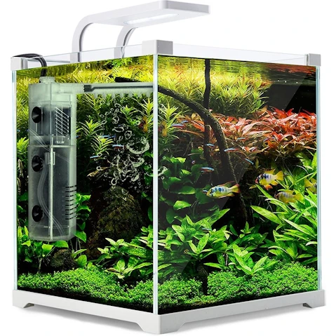 Dynamic Power Starfire Glass Aquarium Fish Tank