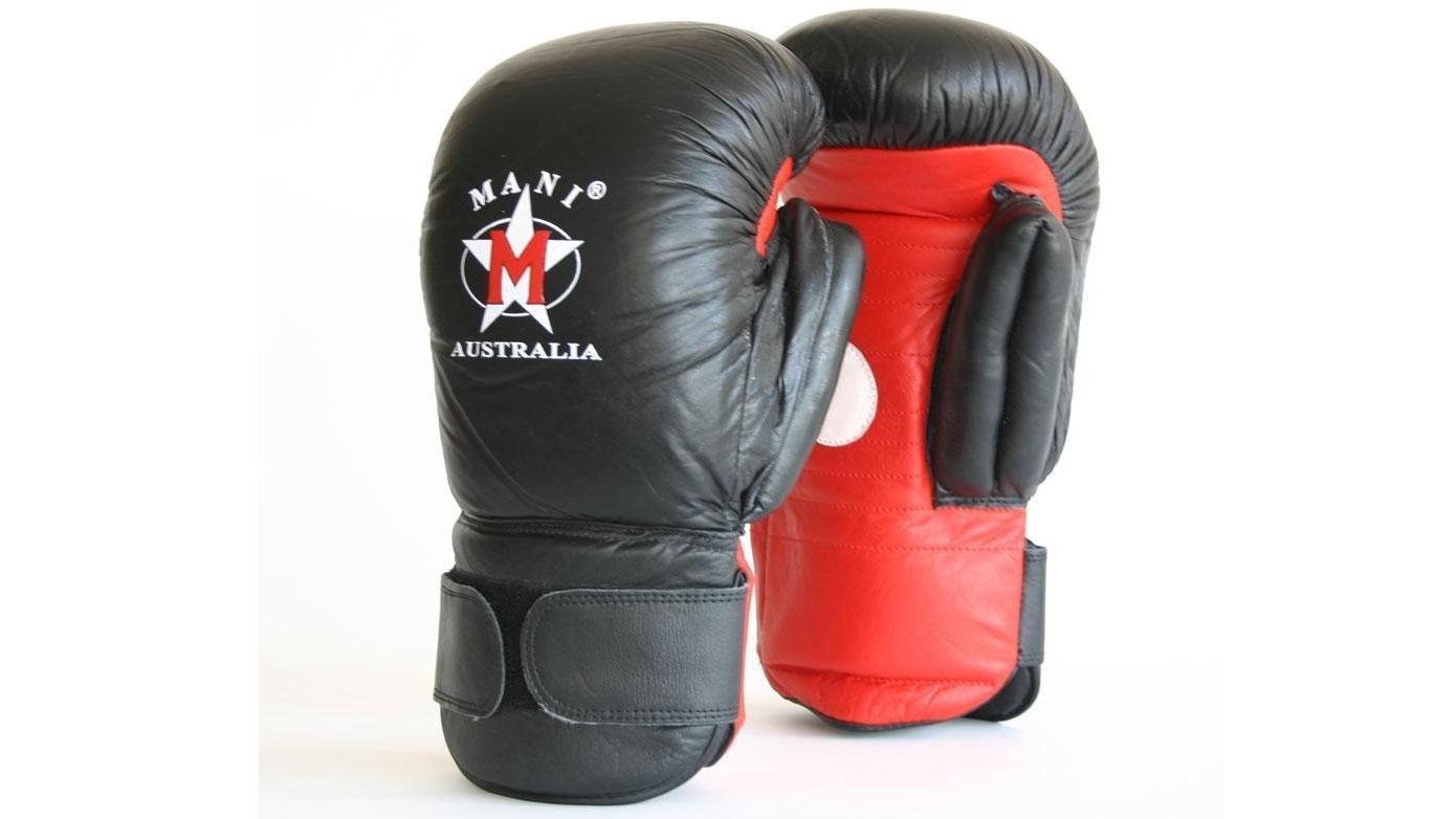 Mani Sports 2-in-1 Leather Boxing Gloves/Pad