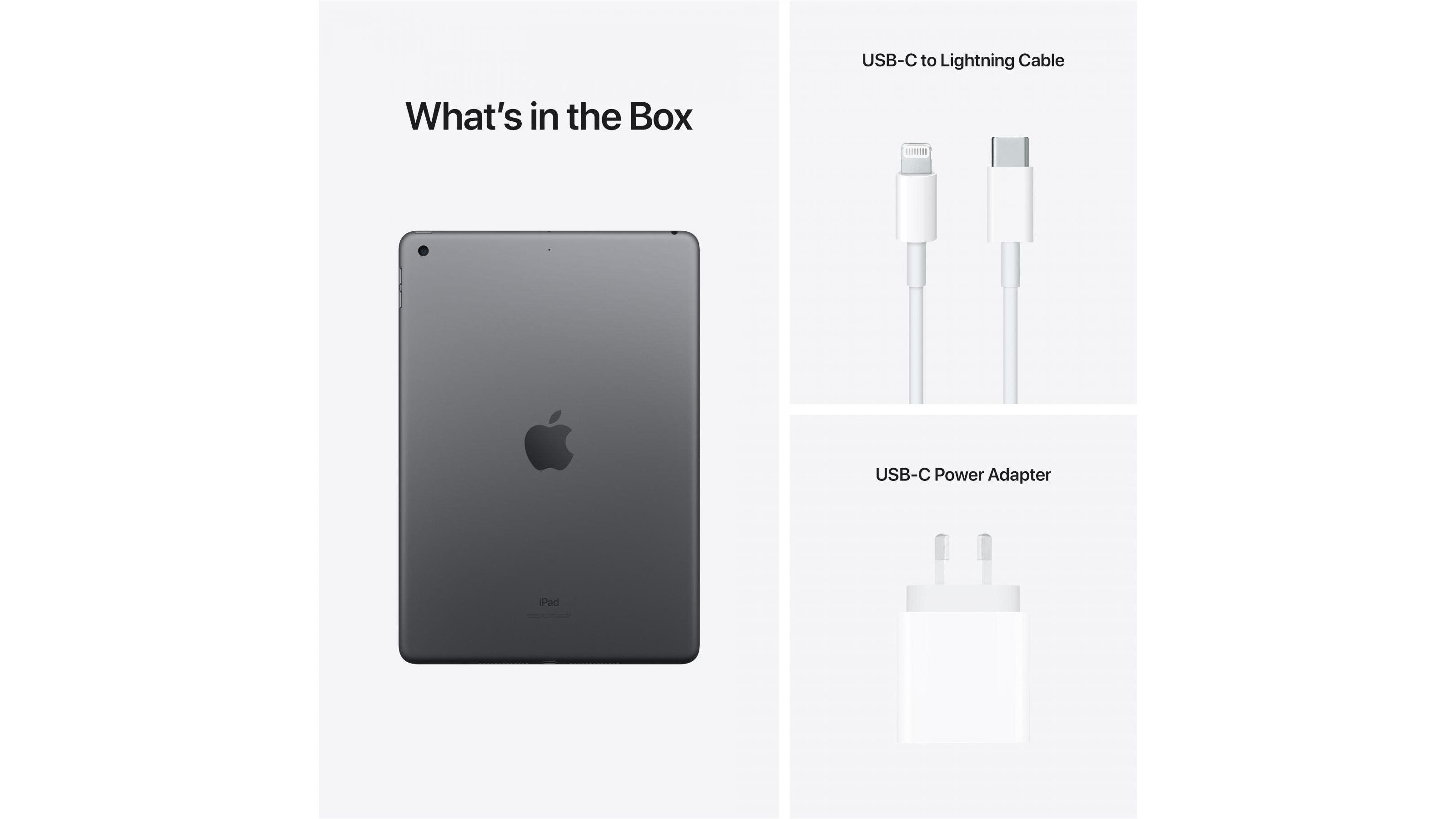 Apple iPad 10.2-inch Wi-Fi 256GB (9th Generation) - Space