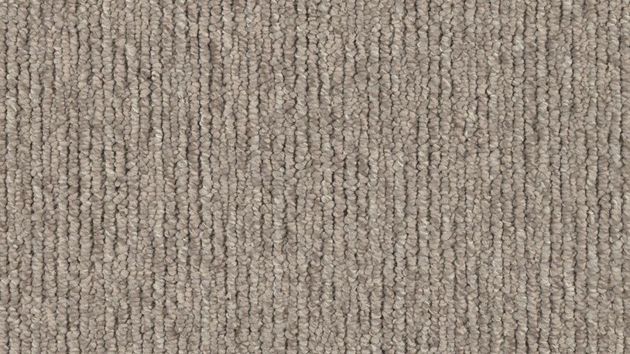 EC Carpets Ayrton Carpet Quebec Harvey Norman