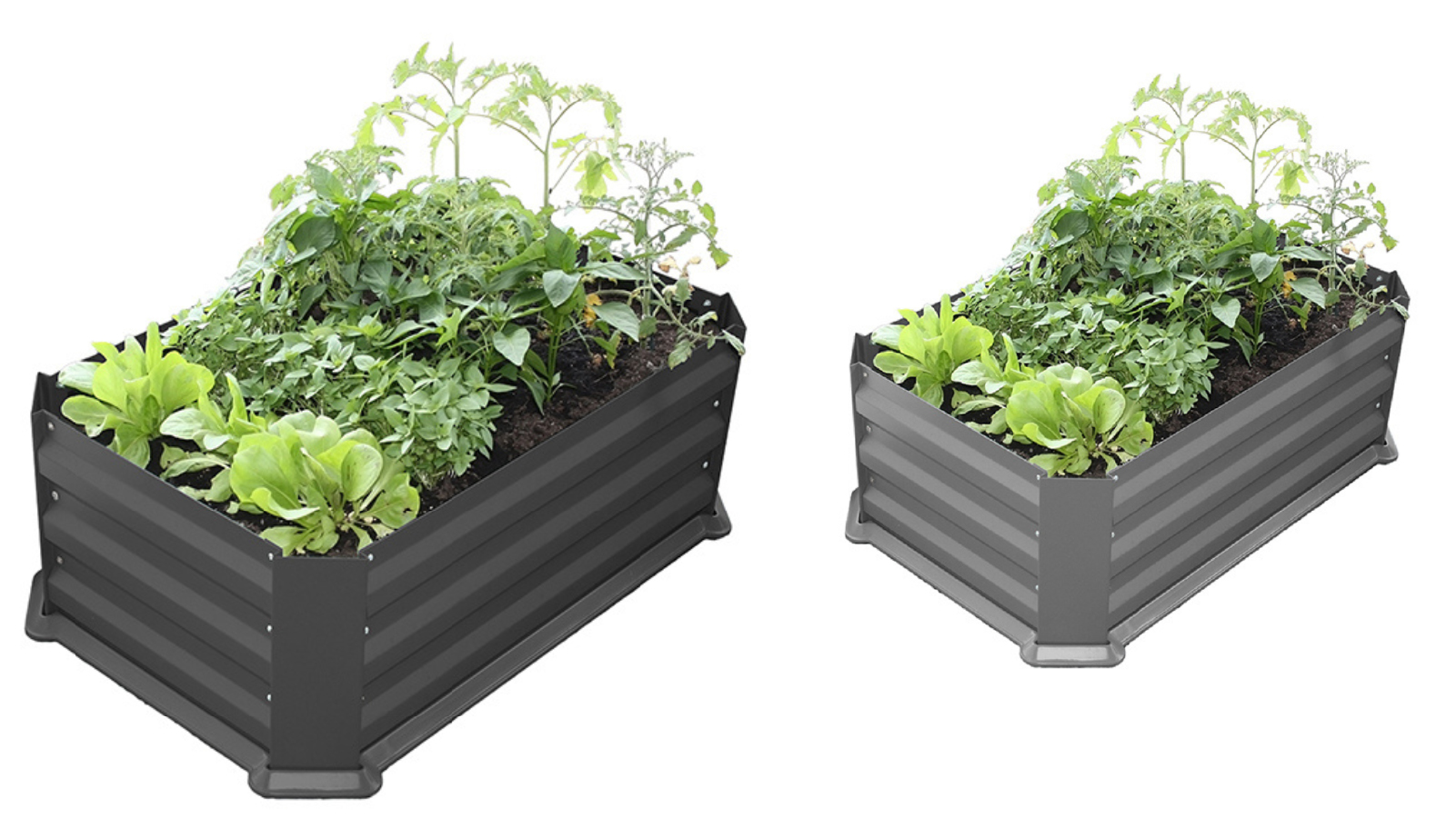 Greenlife 80 x 50 x 30cm Raised Patio Planter Garden Bed With Greenhouse Cover Herbs