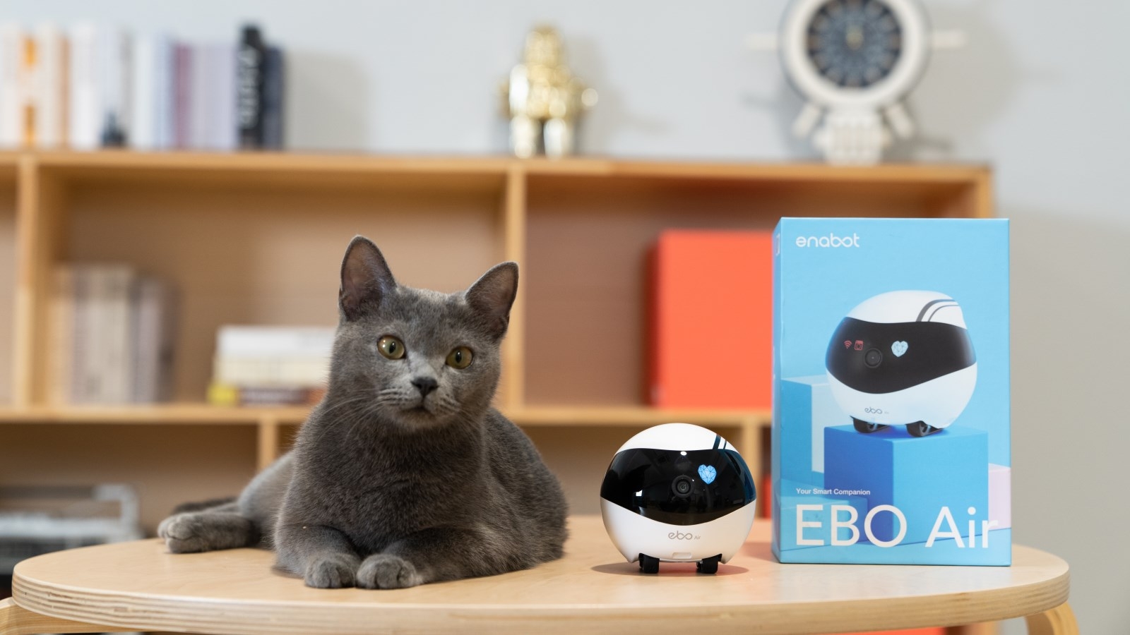 EBO ROBOT, EBO ENABOT, EBO Smart Robot for Pretty Cat, Awesome Cat Robot