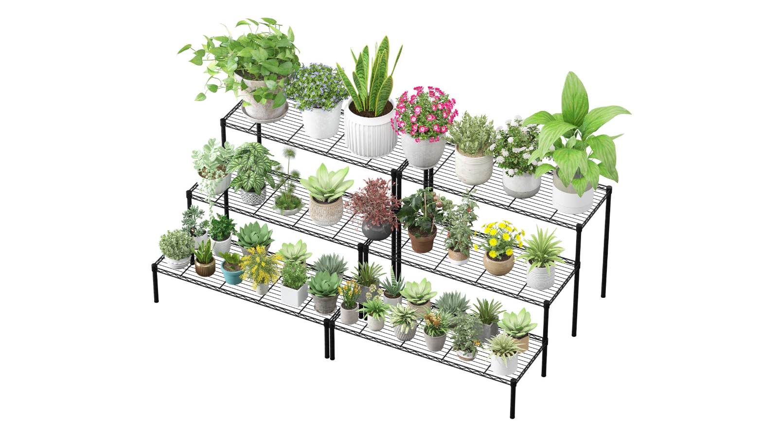 Advwin 3-Tier Heavy Duty Steel Plant Stand - Pack of 2