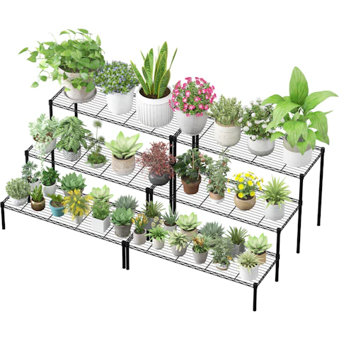 Advwin 3-Tier Heavy Duty Steel Plant Stand - Pack of 2