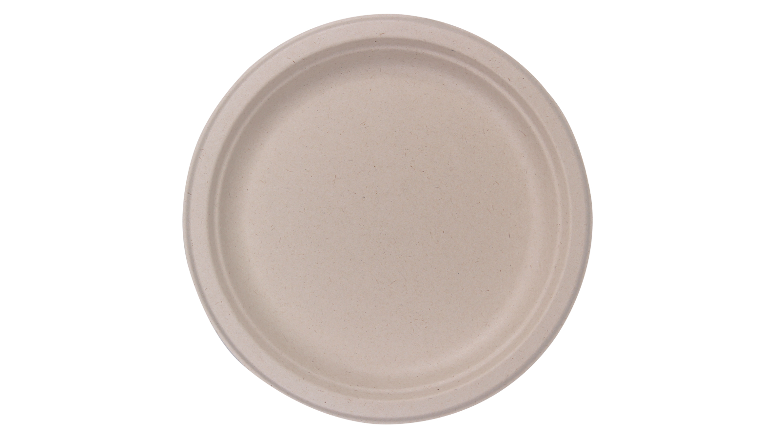 Eco Basics 10 Piece Biodegradable Sugarcane Plate