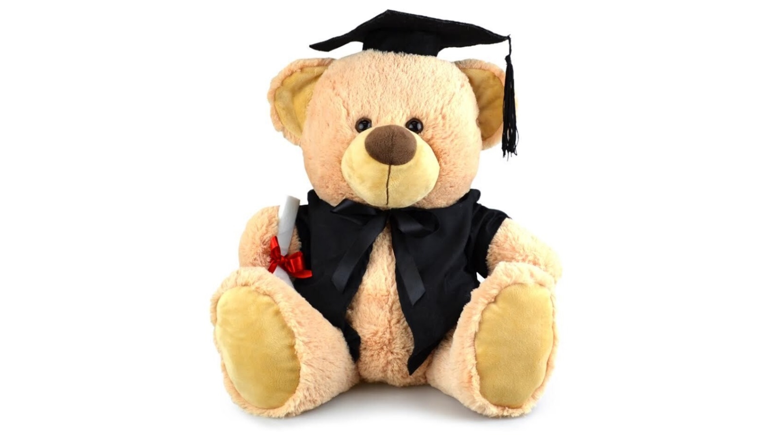 Korimco 40cm My Buddy Graduation - Bear