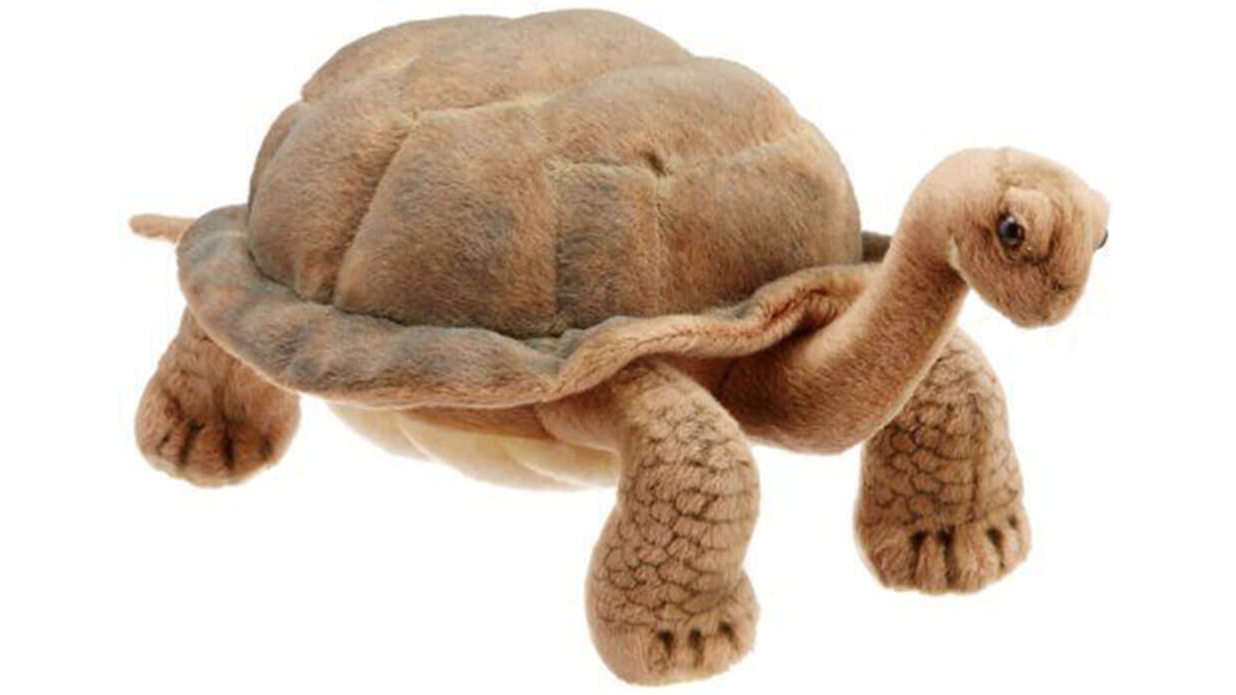 Hansa 30cm Galapagos Turtle Plush Toy