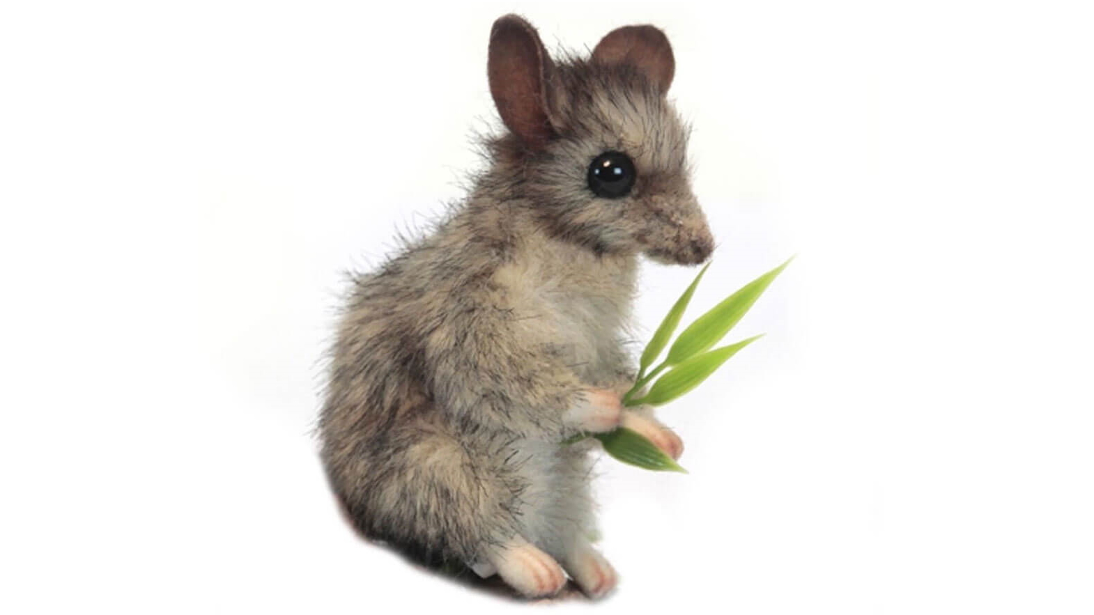 Hansa Grey Leadbetter Possum Plush Toy