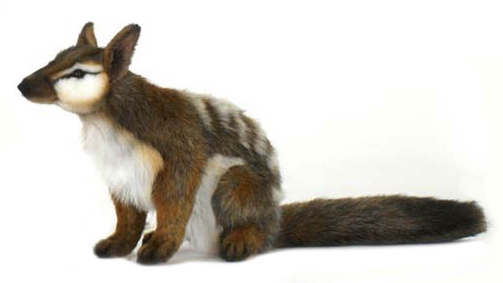 Hansa 30cm Numbat Plush Toy