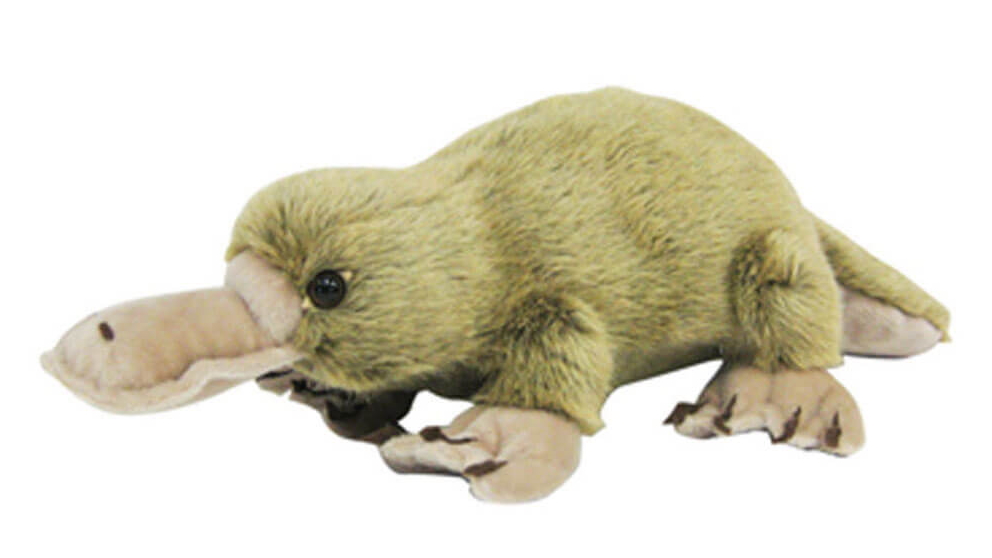 CA Australia 50cm Platypus Animal Toy Plush