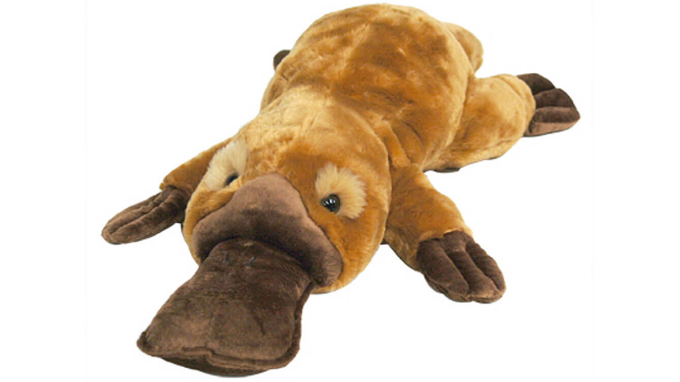 CA Australia 63cm Lying Platypus Animal Toy Plush