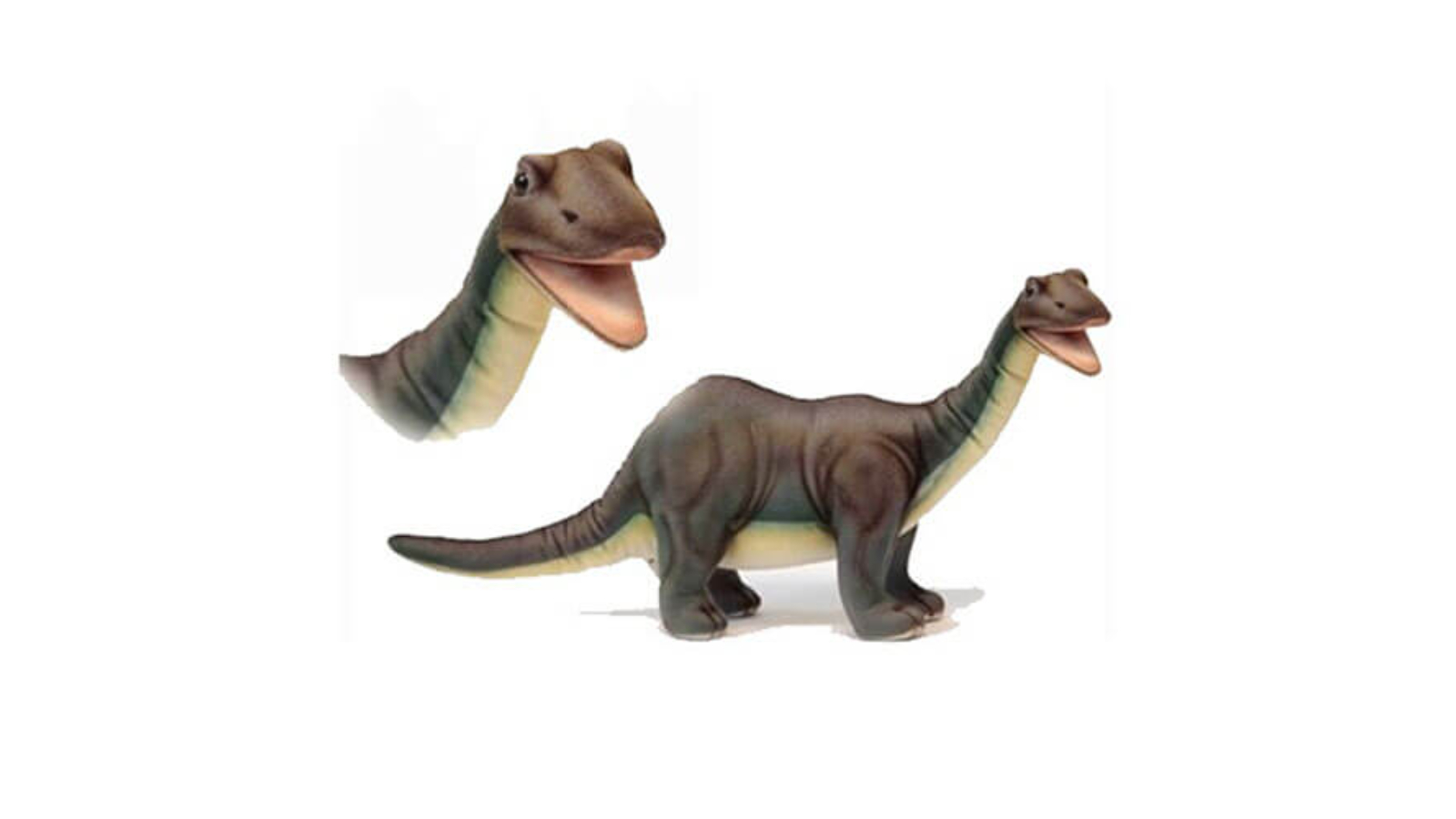 Hansa Brontosaurus Durus Dinosaur - 45cm