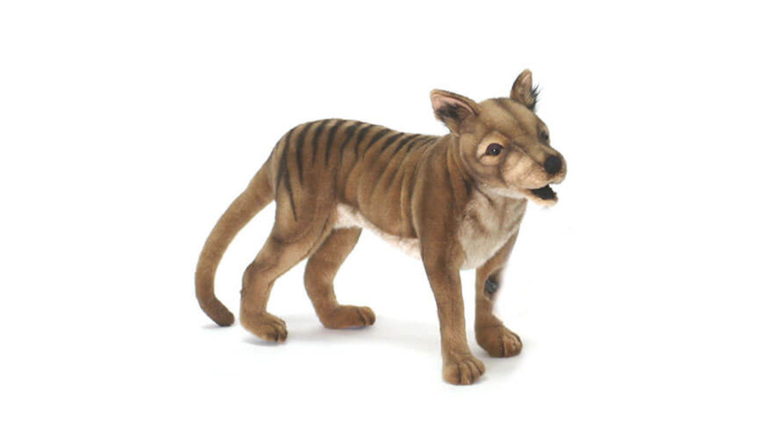 Hansa Tasmanian Tiger Plush Toy - 35cm