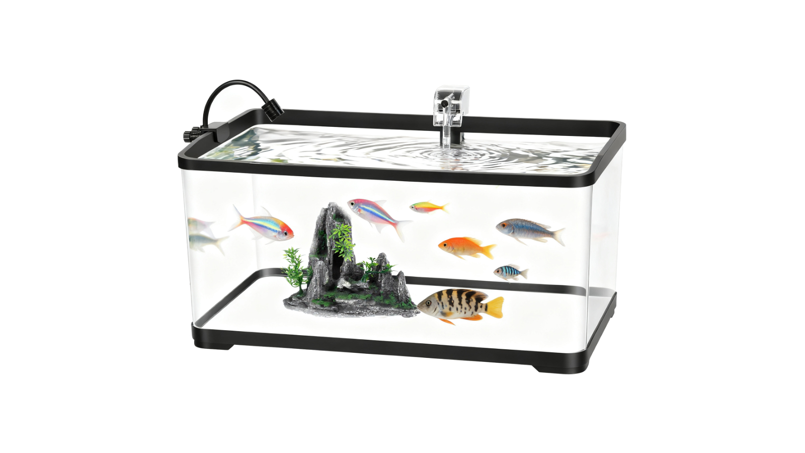 Advwin 50L Aquarium Kit Fish Tank with Light and Filter