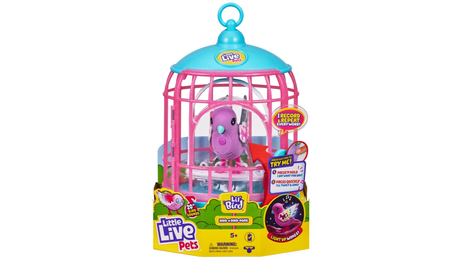 Little live bird cage online