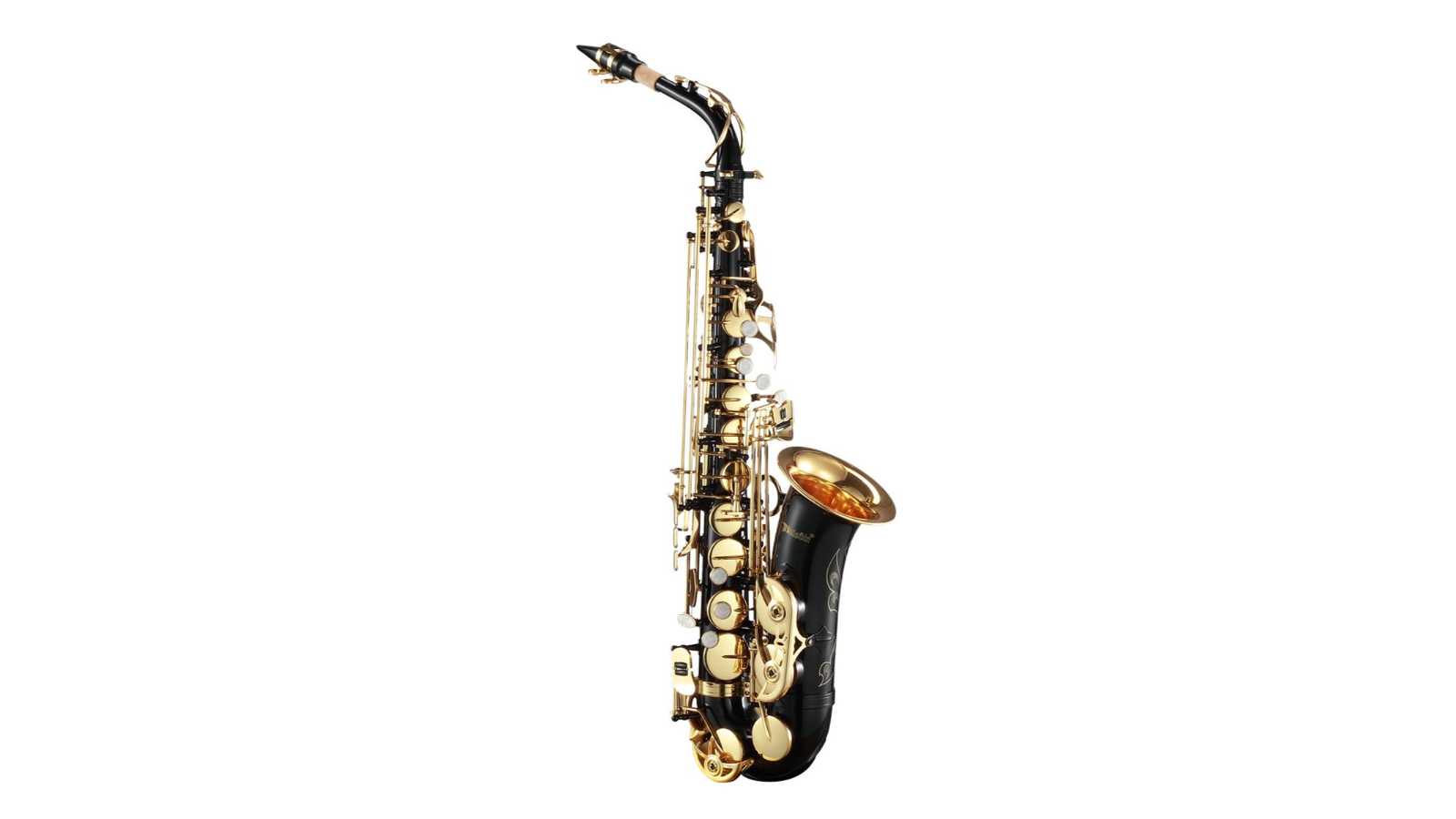 Eb Be E-flat Alto Saxophone Alto Sax for Beginner Student