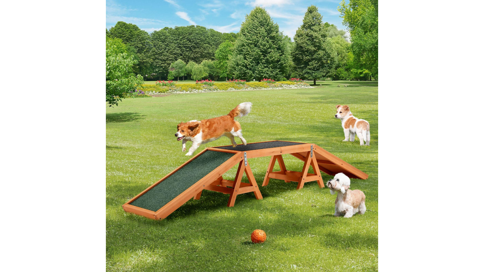 Pet Scene Dog Agility Ramp Toy Training Equipment Harvey Norman