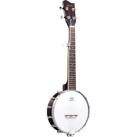 Melodic 5 String Banjo Beginner Music Instrument with String Pick