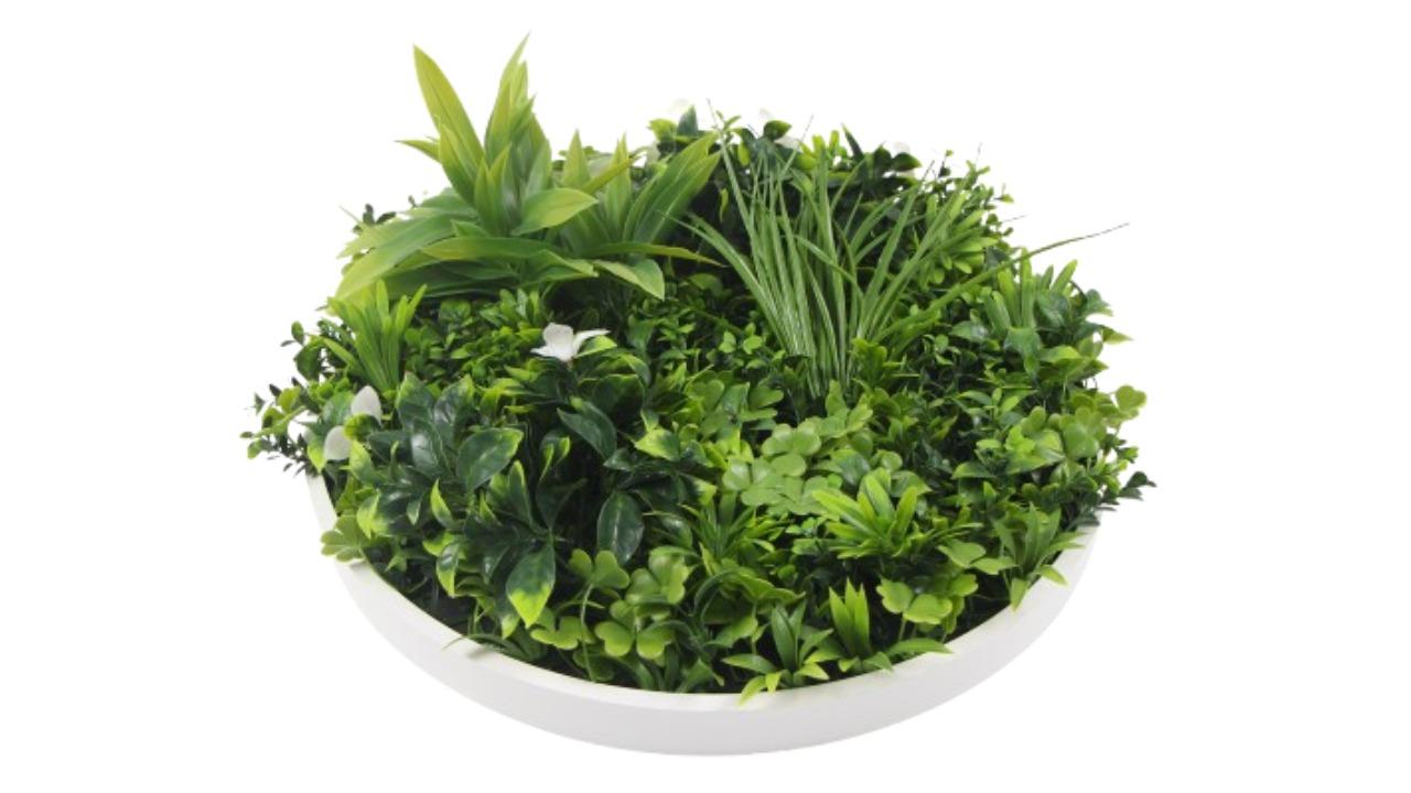 Designer Plants UV Resistant White Frame Artificial Flowering Green Wall Disc - 75cm