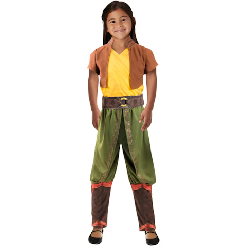 Raya & The Last Dragon Deluxe Costume - Size Small for 3-4 Years
