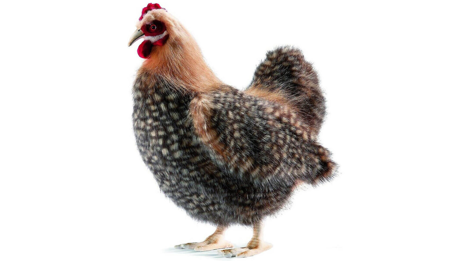Hansa 35cm Beige Hen