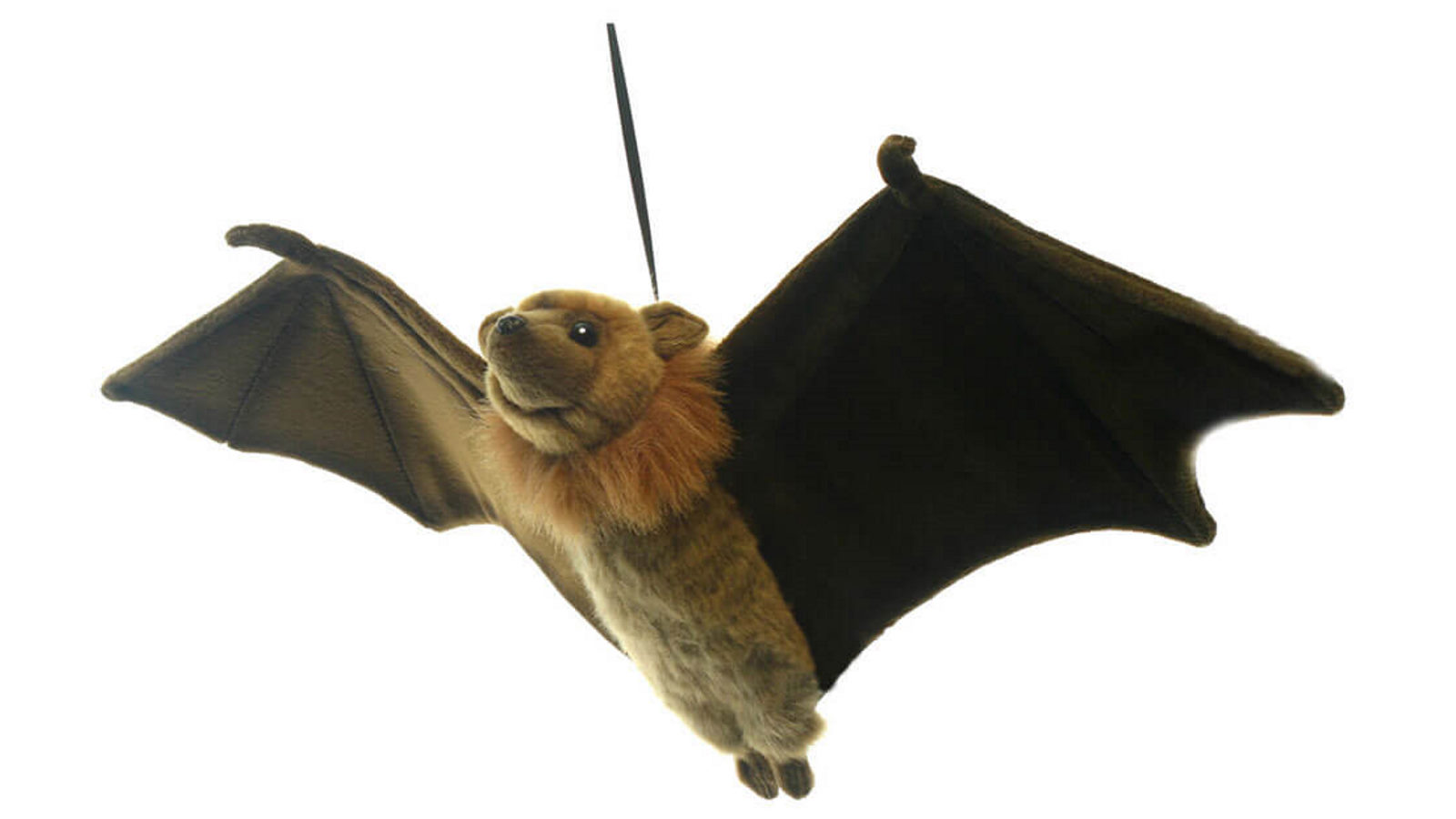 Hansa 67cm Flying Fox Plush Toy