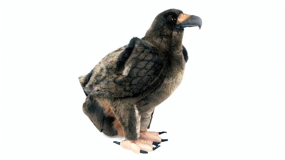 Hansa Golden Eagle Educational Toy - 35cm