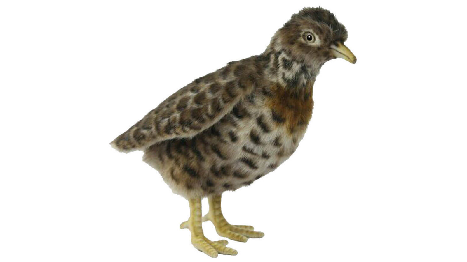 Hansa 19cm Plains Wanderer Plush Toy