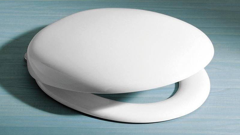 Caroma Pedigree II Toilet Seat White Harvey Norman