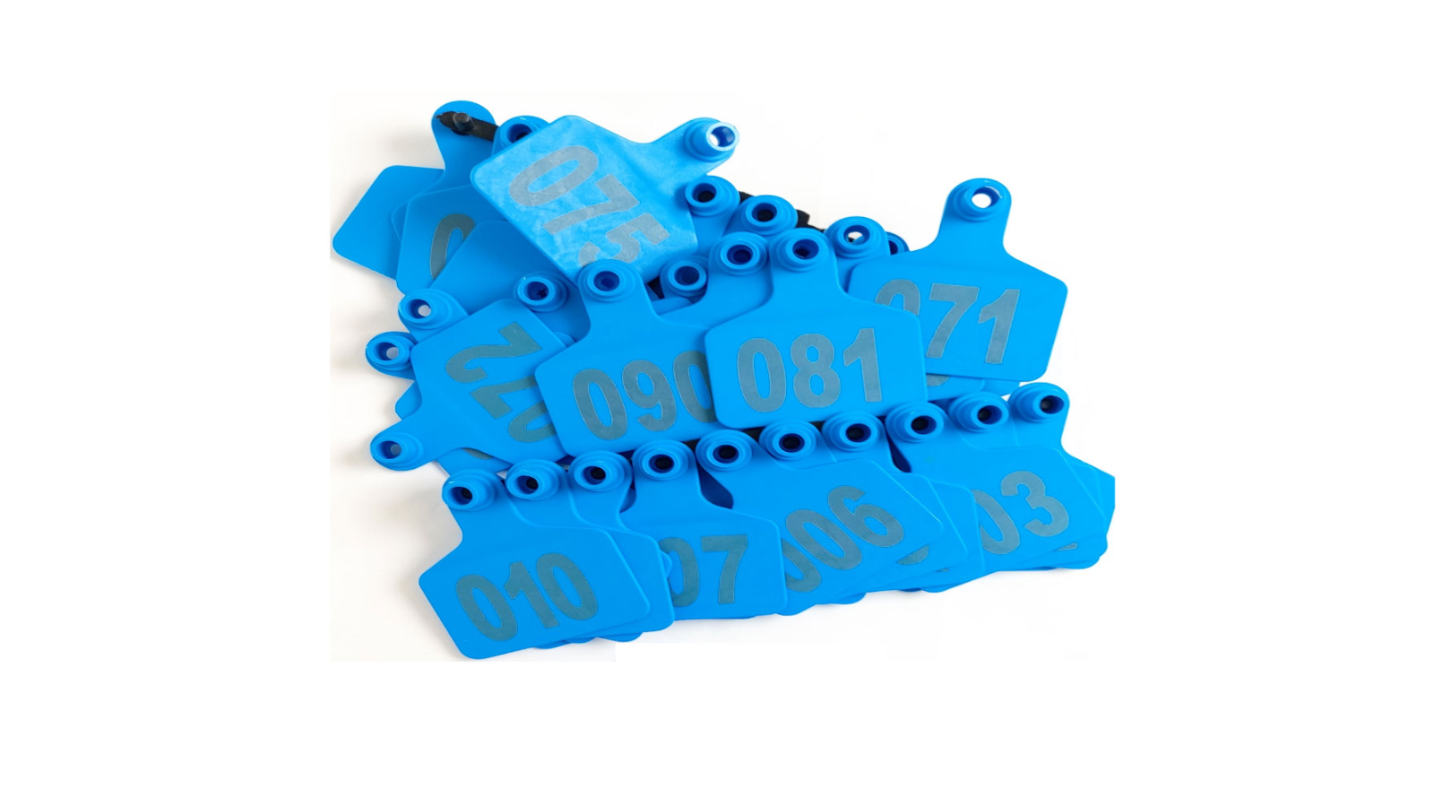 Rooster Farms Blue 1-100 Cattle Number Ear Tags Set - 6 x 7.5cm